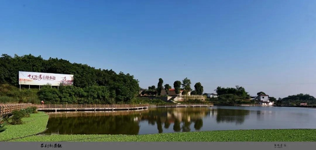 约！龙马潭的这些春游打卡地美不胜收(图13)