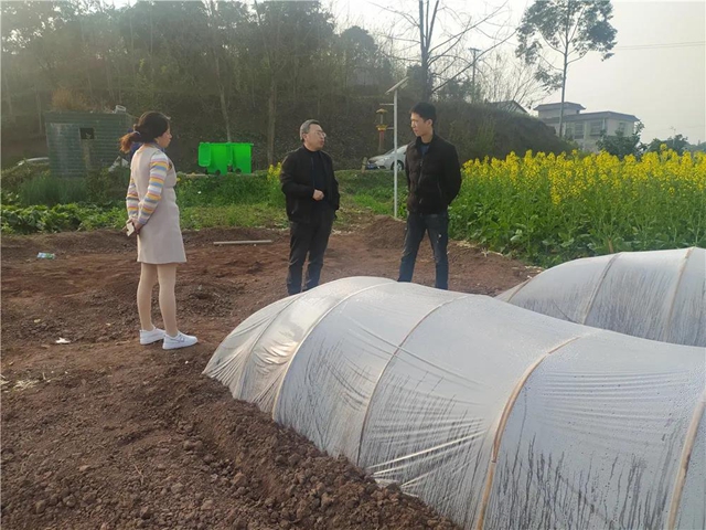国家水稻体系岗位专家徐富贤莅临泸县指导春播工作