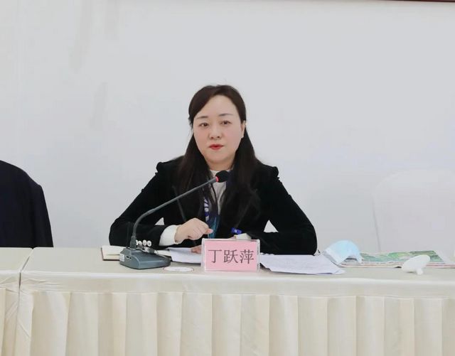 两会声音丨市政协委员丁跃萍：规划引领要素保障管控约束，为泸州高质量发展提供坚实支撑