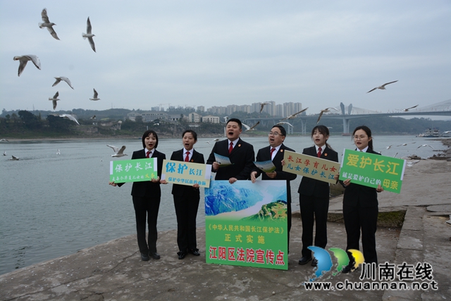 法治护航长江生态，江阳法院在行动！(图7)