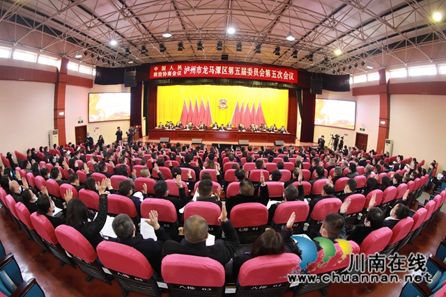 凝心汇智，共谋发展！龙马潭区统一战线在区“两会”上发出好声音