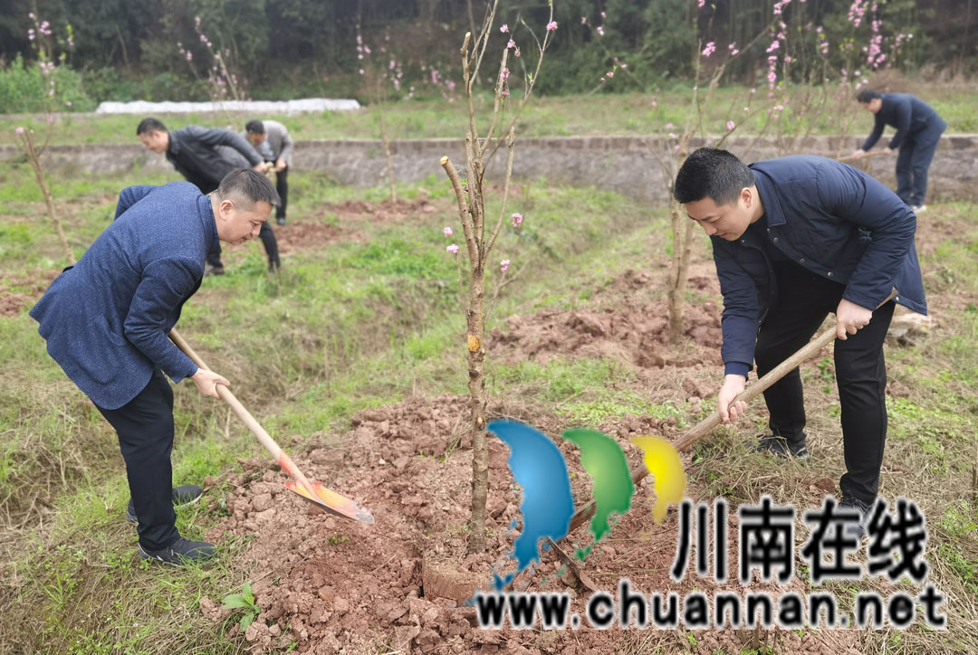 学雷锋纪念日 民革泸州市新党员支部在行动