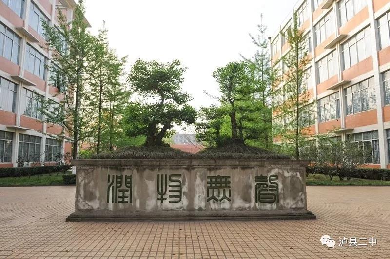 泸县二中2021年公办在职教师招聘公告(图6)