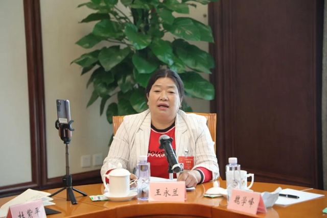 四川代表团建议：将宜西攀高铁纳入国家“十四五”铁路规划(图1)