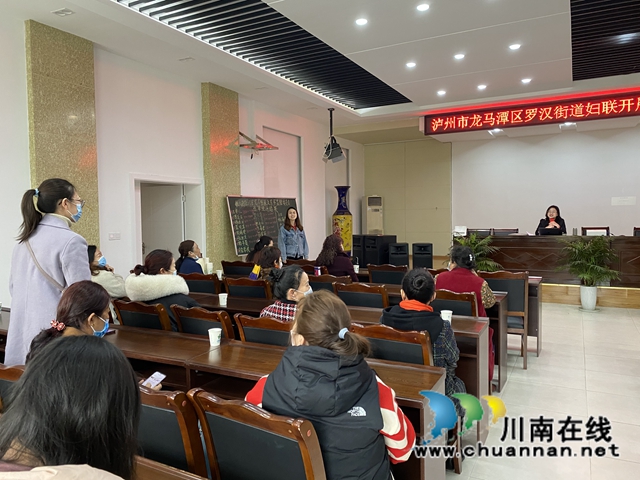 龙马潭区罗汉街道妇联开展妇女权益保护法律知识讲座(图2)