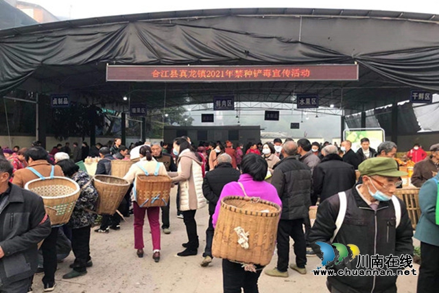 合江县真龙镇开展2021年禁种铲毒宣传活动