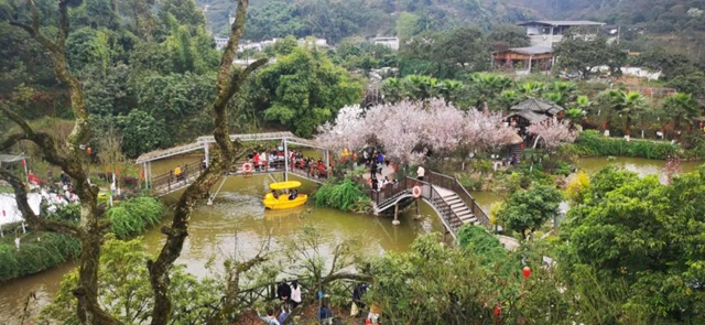 乡村文化旅游丨龙马潭区“三举措”提升乡村旅游品质