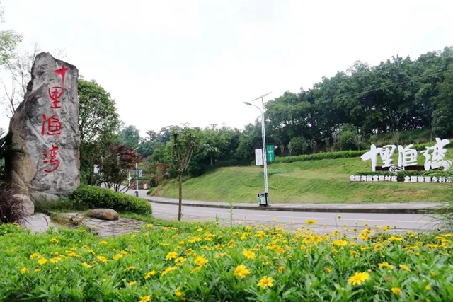 乡村文化旅游丨龙马潭区“三举措”提升乡村旅游品质(图4)
