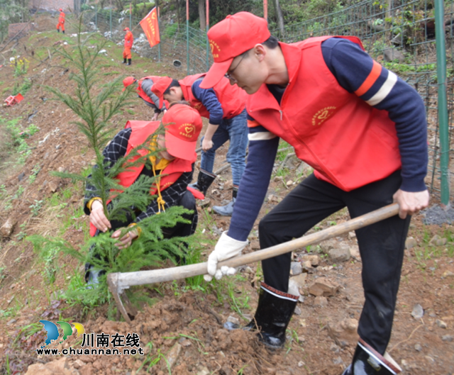 威鑫煤业：青年义务植树，为矿山添上一抹新绿！