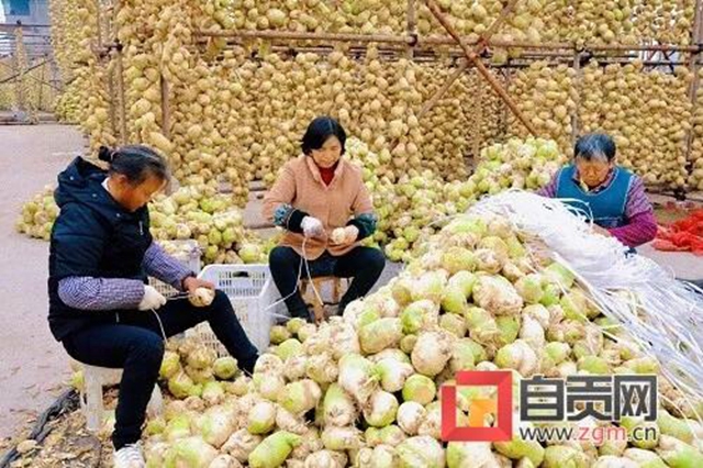 自贡的大头菜，还能这样耍......(图1)
