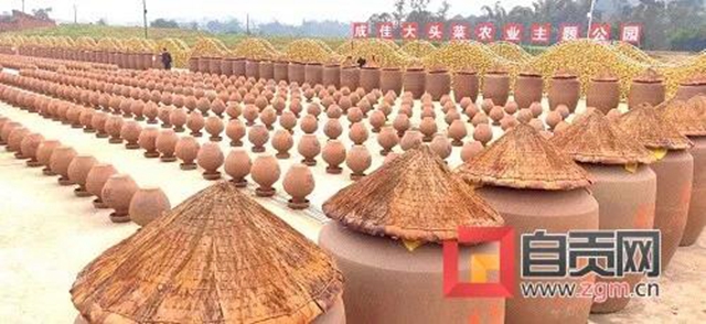 自贡的大头菜，还能这样耍......(图2)