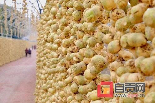 自贡的大头菜，还能这样耍......(图7)