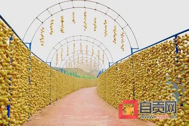 自贡的大头菜，还能这样耍......(图11)