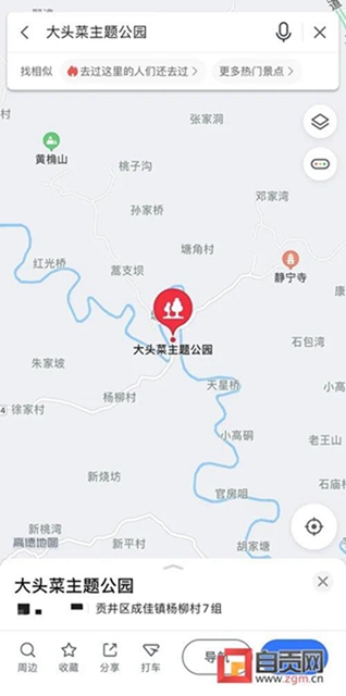 自贡的大头菜，还能这样耍......(图12)