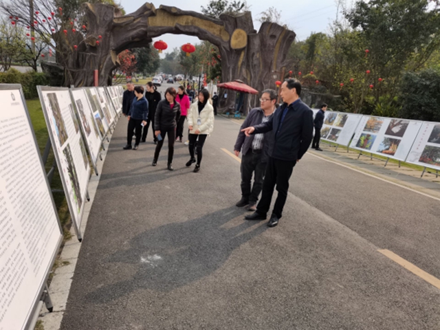 国家林草局调研评估泸州市国家森林城市建设工作