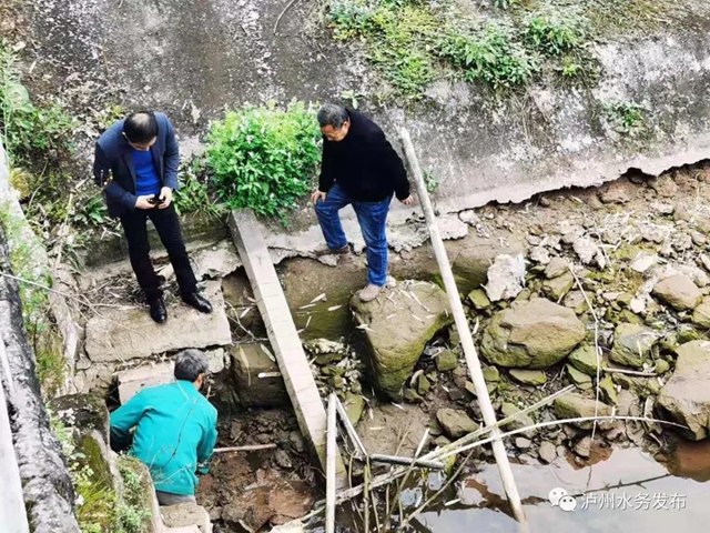 龙马潭区水务局多举措做好春耕供水保障(图1)