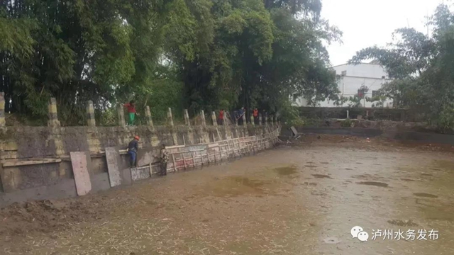 龙马潭区水务局多举措做好春耕供水保障(图2)