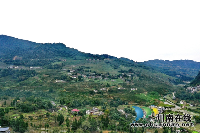 古蔺龙山：抓产业脱贫成效，奠乡村振兴基础(图3)