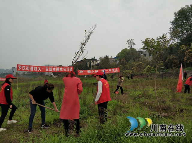 拥抱春天，播种绿色！龙马潭区罗汉街道开展植树节活动(图3)