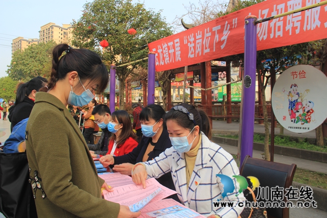 泸县云龙镇开展”送岗位下乡“专场招聘服务活动(图2)