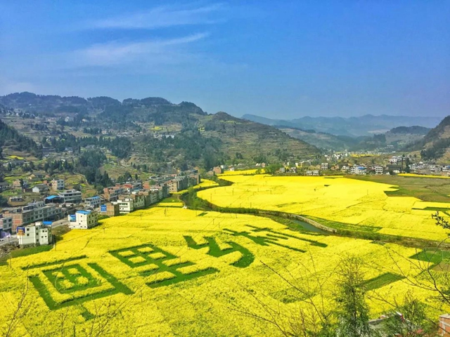 乡村文化旅游丨万亩油菜花海上央视，泸州这些地方也值得打卡(图7)