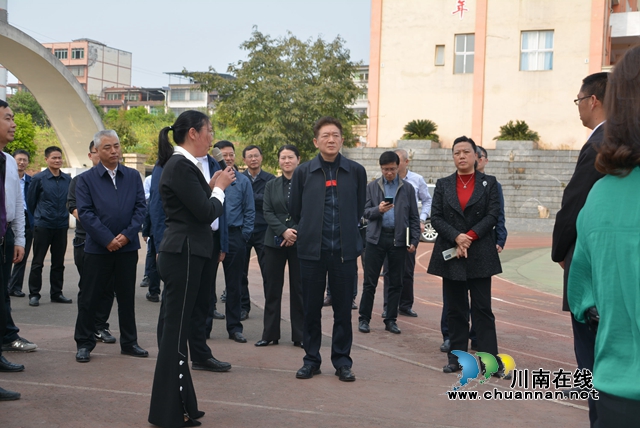 杨林兴到合江县荔江镇中心校调研教育工作(图1)