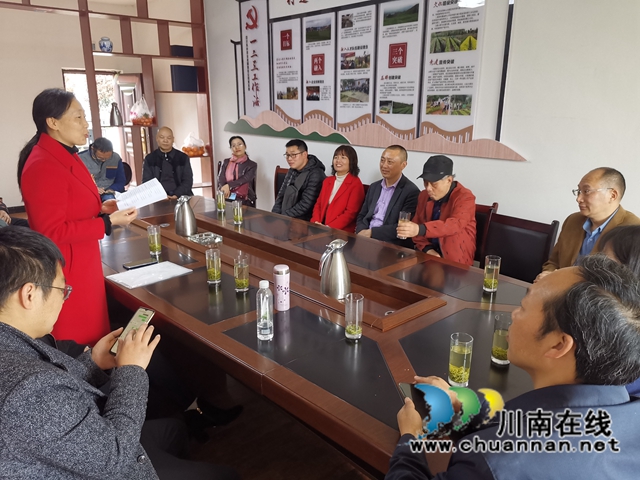 民盟纳溪区基层委员会专题调研特早茶产业(图2)
