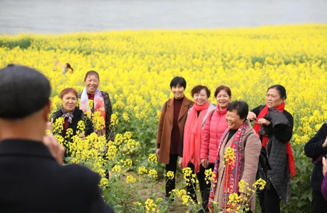 合江千亩油菜籽:不仅长势好,而且长姿还帅!(图5) 合江千亩油菜籽:不仅长势好,而且长姿还帅!(图5)