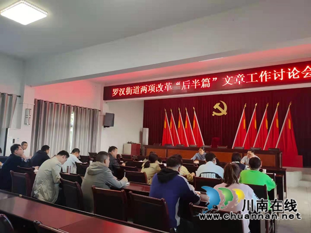 龙马潭区罗汉街道召开两项改革“后半篇”文章专题讨论会