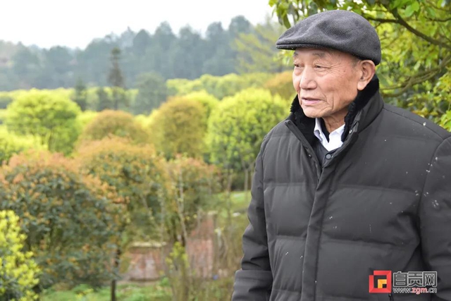 引来人民日报关注！自贡八旬老人投资千万开山造林(图5)