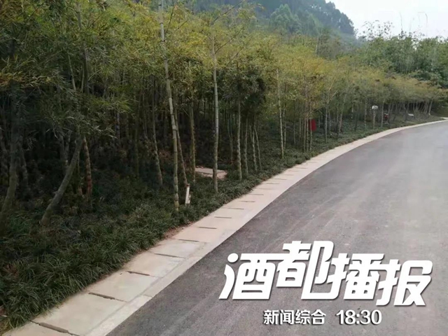 约10000亩!宜宾三江新区这个公园预计“五一””开园(图2) 约10000亩!宜宾三江新区这个公园预计“五一””开园(图2)