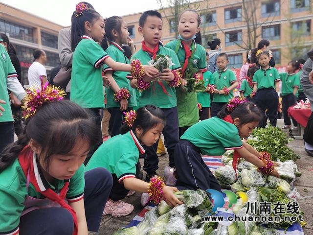 泸县:师生种出有机菜 义卖捐赠一份爱(图5) 泸县:师生种出有机菜 义卖捐赠一份爱(图5)