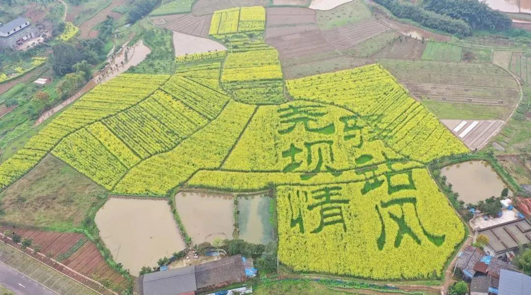全省100个赏春点及精品线路,泸州有这些(图16) 全省100个赏春点及精品线路,泸州有这些(图16)