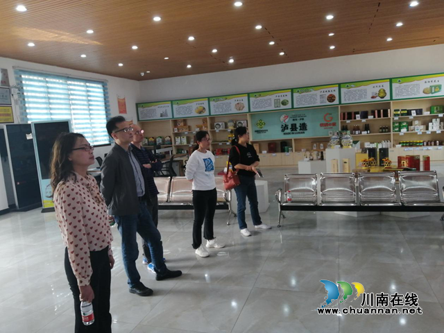 泸州市自然资源和规划局调研泸县乡村规划建设工作