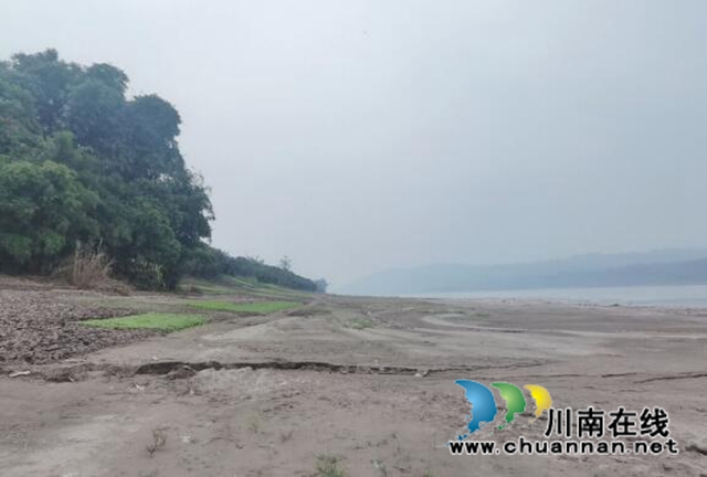 合江县神臂城镇经盘村：“荒滩空地”变身“河清岸绿”