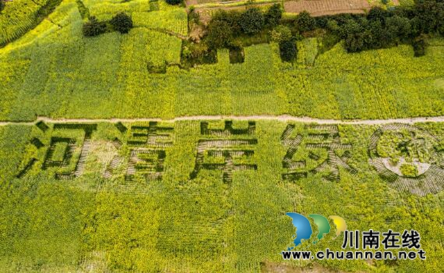 合江县神臂城镇经盘村：“荒滩空地”变身“河清岸绿”(图3)