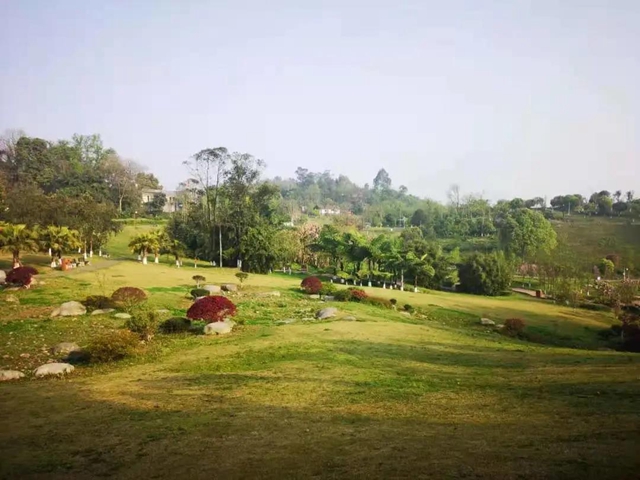 乡村文化旅游丨泸州城区这几条乡村旅游线路，你选哪个？(图6)