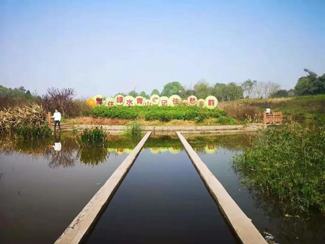 乡村文化旅游丨泸州城区这几条乡村旅游线路，你选哪个？(图8)