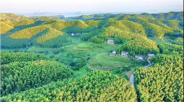 乡村文化旅游丨泸州城区这几条乡村旅游线路，你选哪个？(图15)
