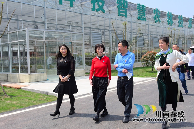 宜宾翠屏区：万企帮万村，助力村美民富产业旺