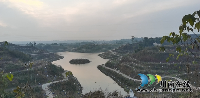 泸县云龙镇：万亩产业园落地，助力乡村振兴发展