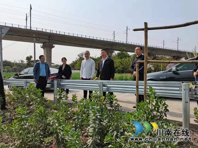 杨双全率队督导泸县小鹿溪河河长制工作