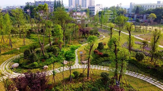 世界水日·中国水周 | 泸州城管护水有方(图2)