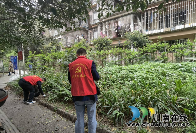 龙马潭区小市街道开展每周一小时志愿服务活动(图1)
