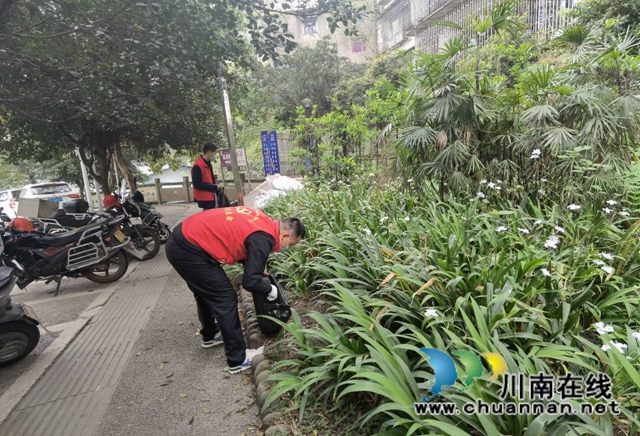龙马潭区小市街道开展每周一小时志愿服务活动(图2)