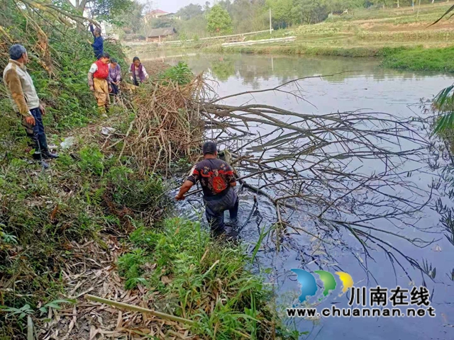 泸县云龙镇党员志愿者开展河道清理行动(图4)