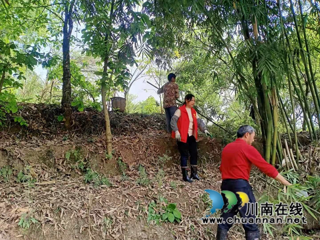 泸县云龙镇党员志愿者开展河道清理行动(图8)