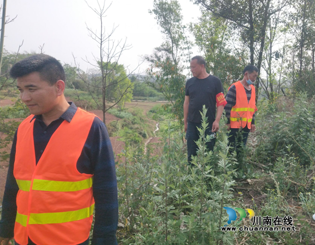 宜宾南溪区长兴镇持续做好森林防灭火巡查工作