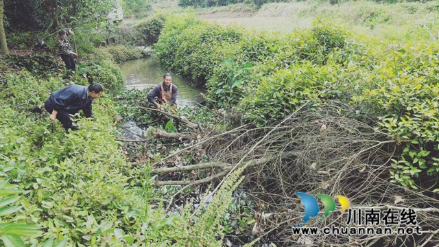 泸县云龙镇启动二期河道改造工程确保治理有效