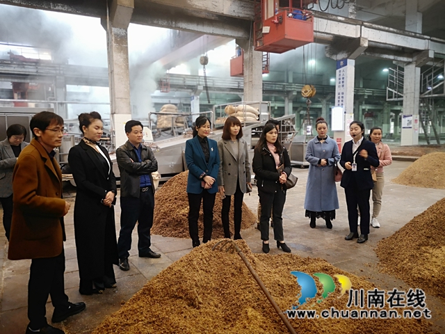 海南省泸州商会到泸州市龙马潭区考察交流工作